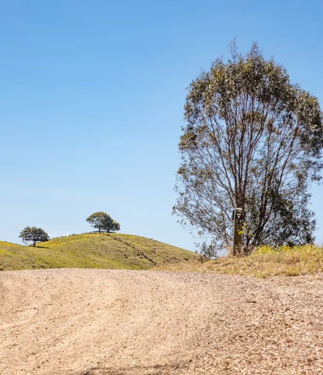 Gravel Road hinterland