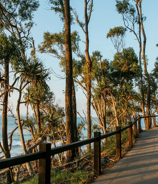 Noosaheads Tourism Noosa Amy Higg Photo 34