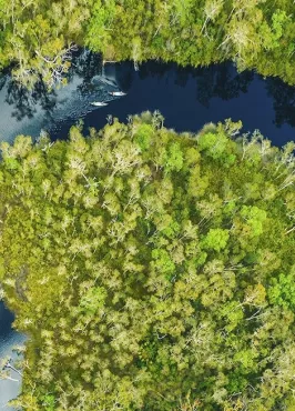 Everglades eco safaris aerial
