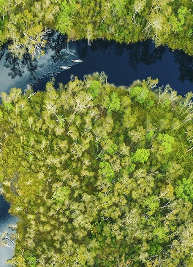 Everglades eco safaris aerial